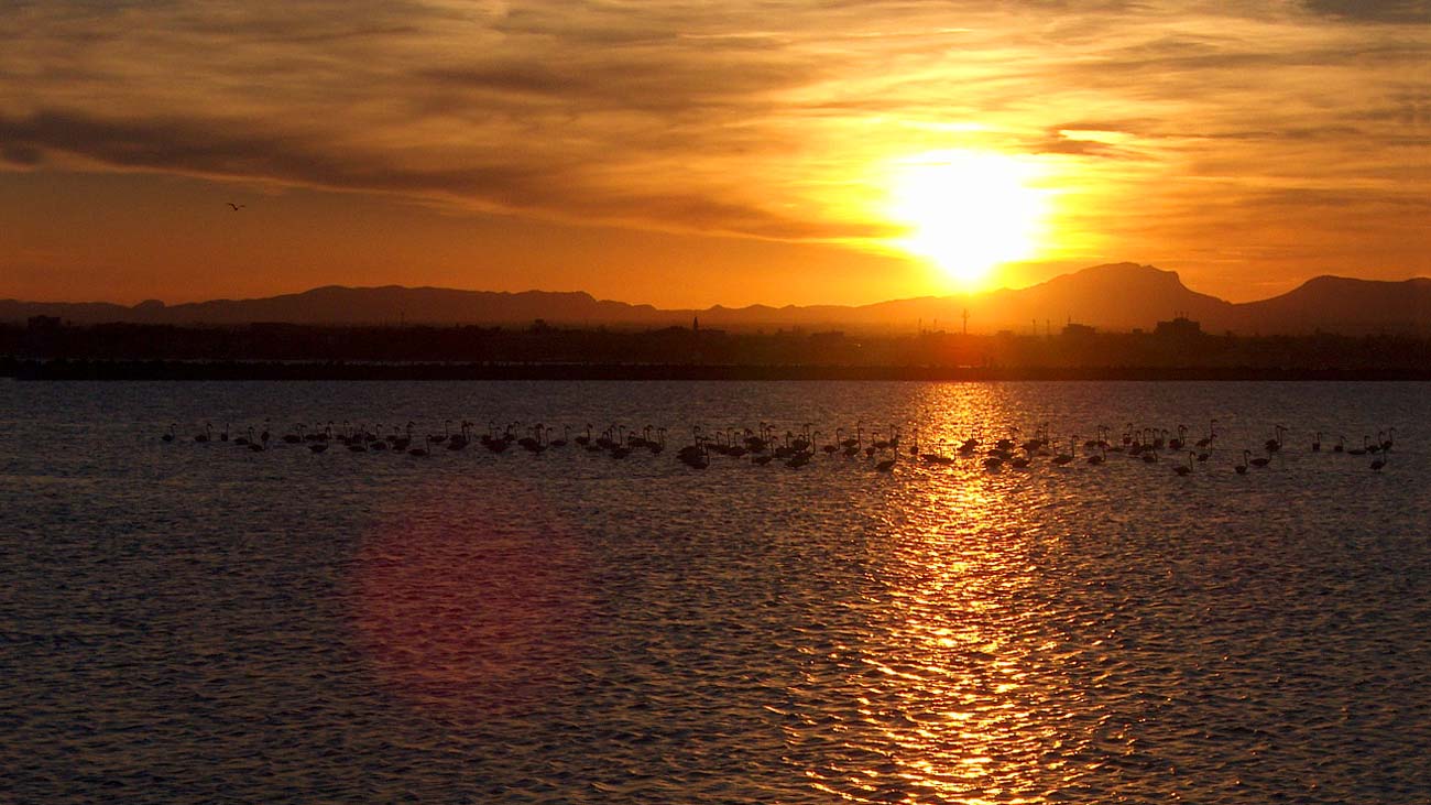 Salinas de San Pedro del Pinatar